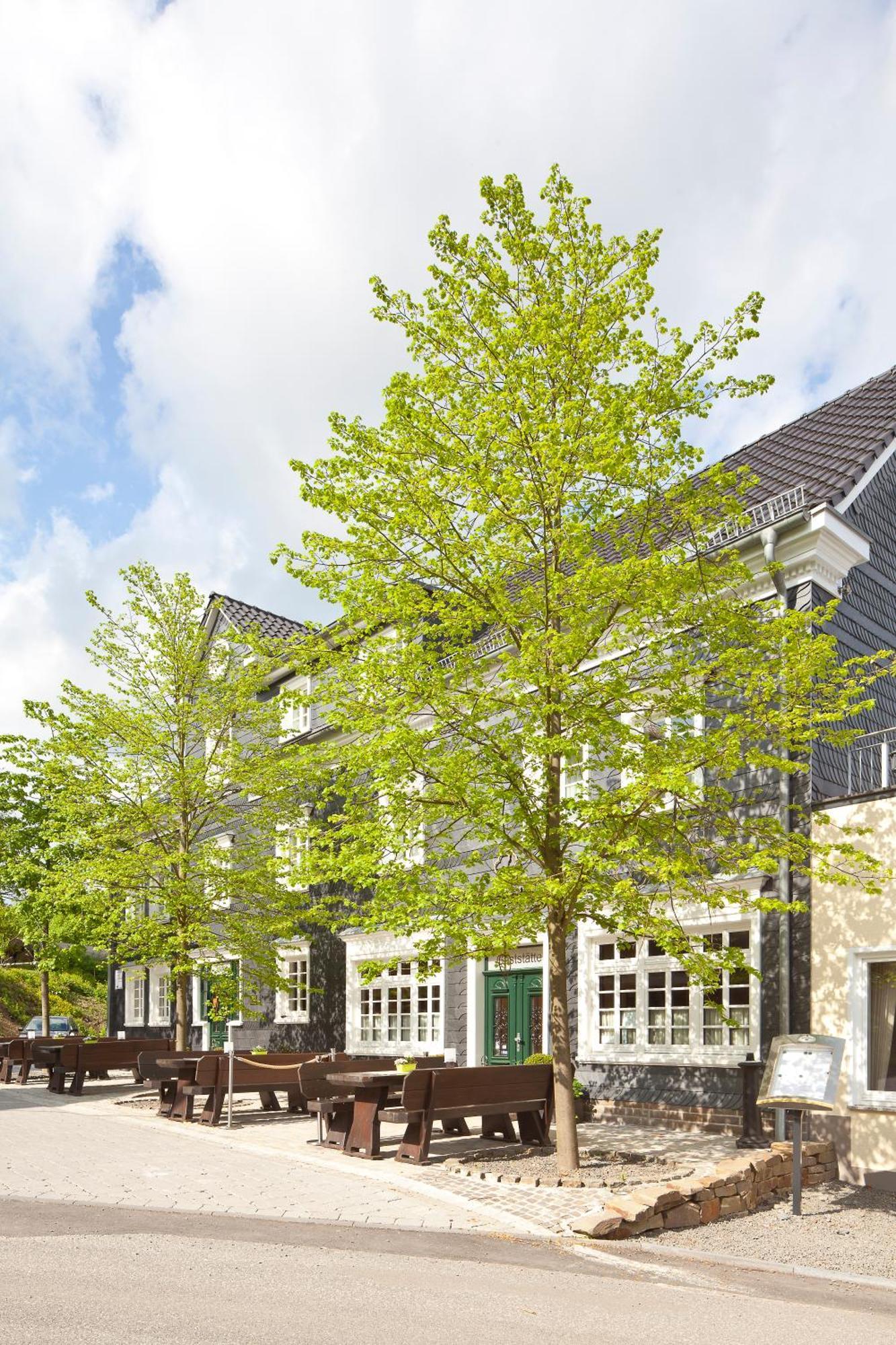 Hotel Zu Den Drei Linden Wermelskirchen Zewnętrze zdjęcie